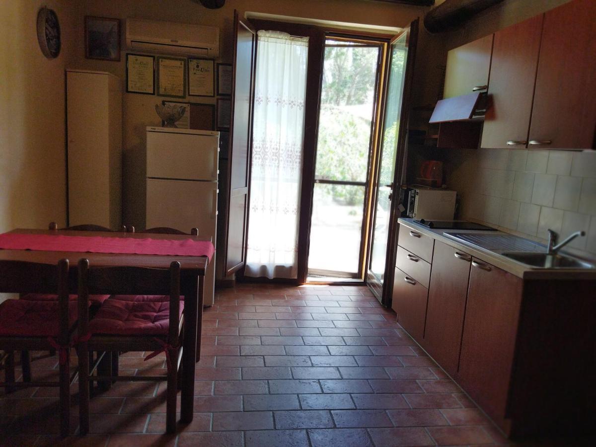 Azienda Agrituristica Le Betulle Riotorto Exterior foto