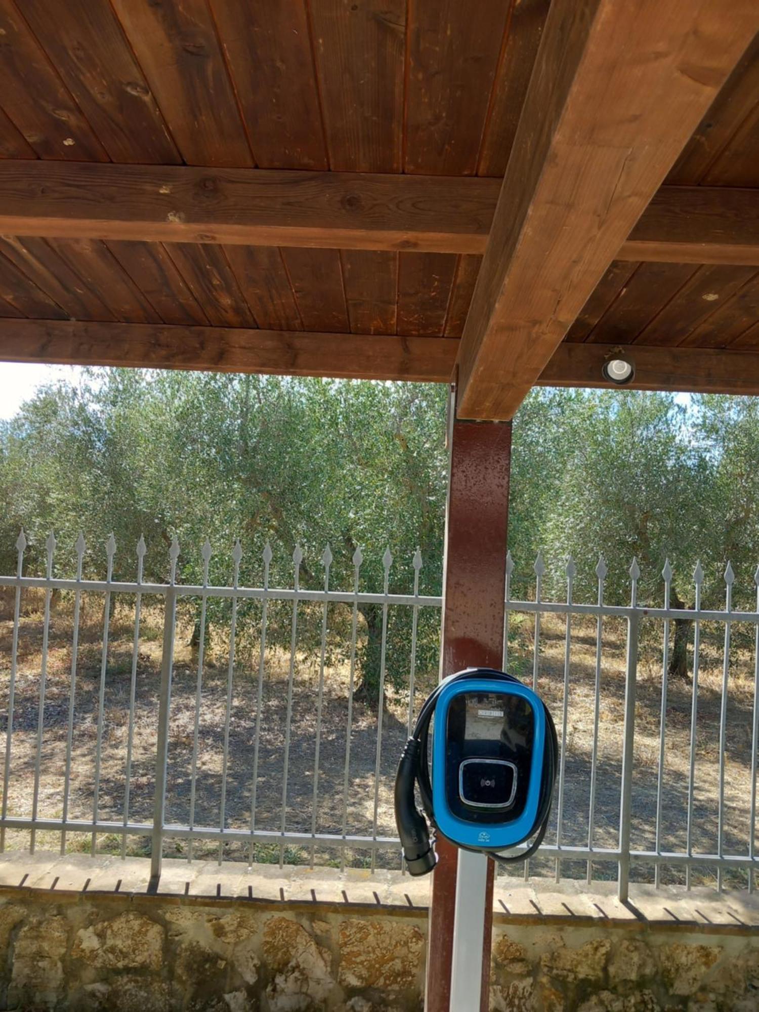 Azienda Agrituristica Le Betulle Riotorto Exterior foto