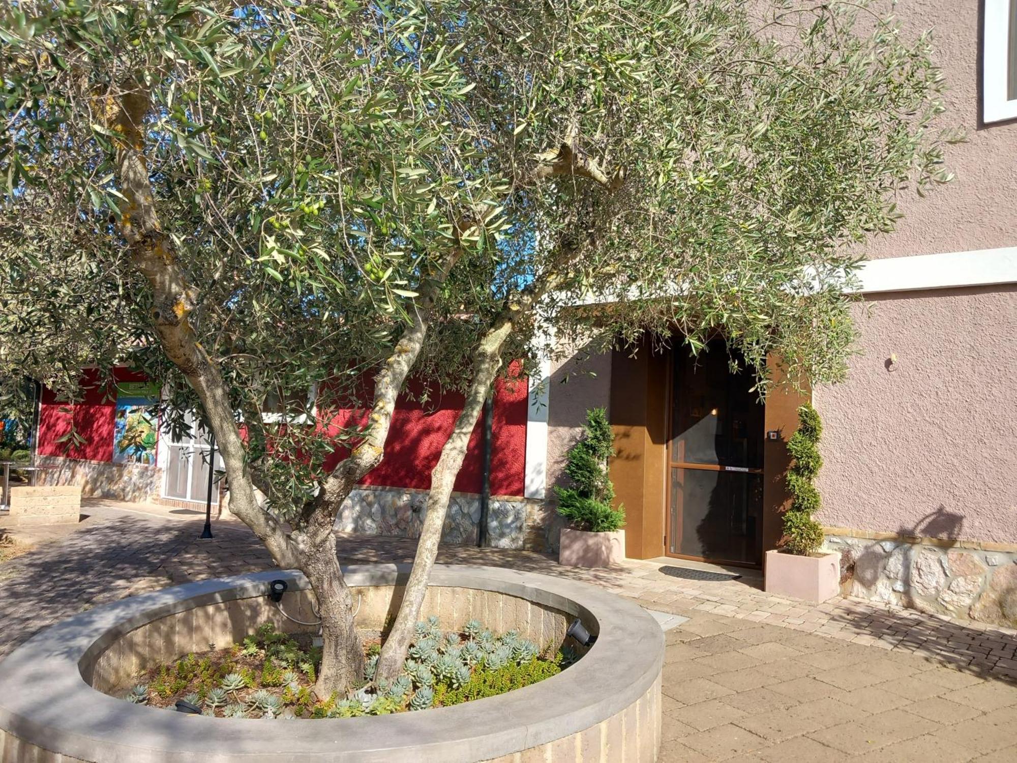 Azienda Agrituristica Le Betulle Riotorto Exterior foto