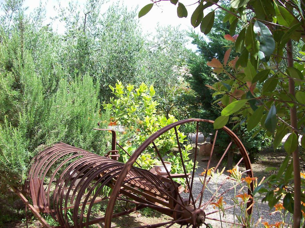 Azienda Agrituristica Le Betulle Riotorto Exterior foto