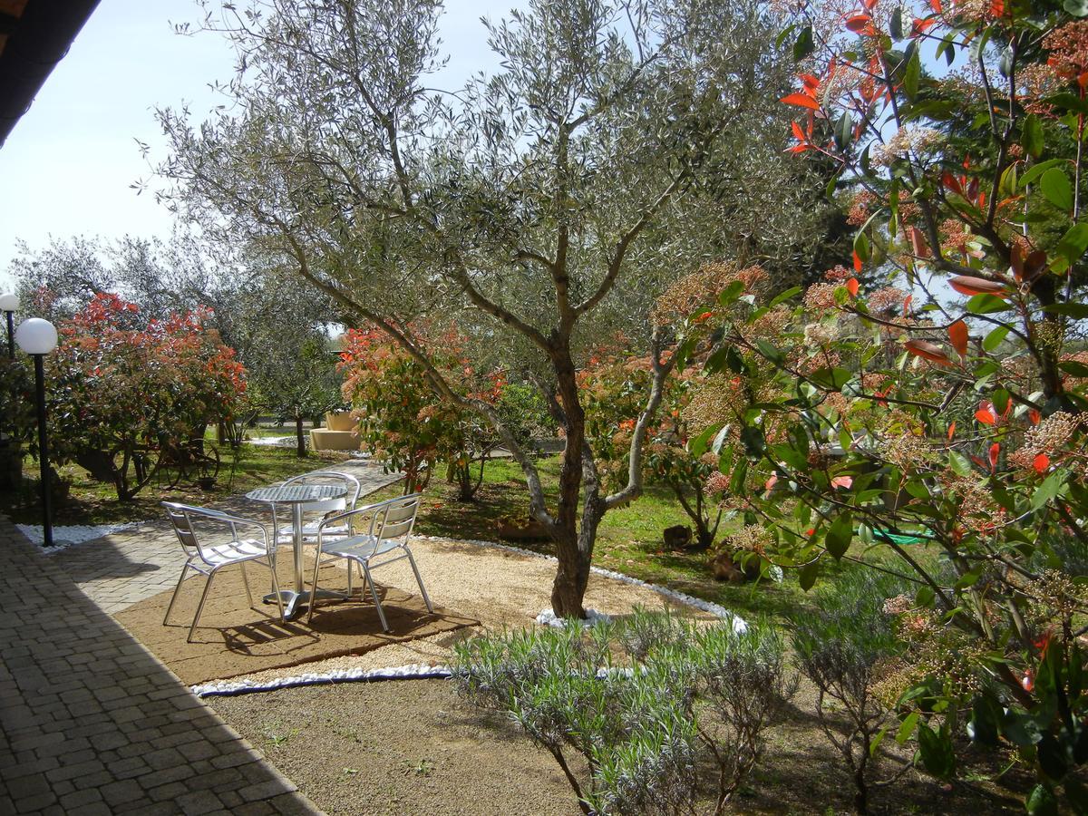 Azienda Agrituristica Le Betulle Riotorto Exterior foto